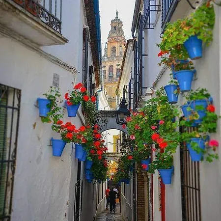 Precioso Loft El Arcangel Ii Junto A La Ribera * 科爾多瓦