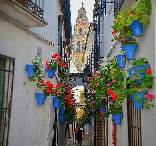 Precioso Loft El Arcángel Ii Junto A La Ribera * Córdoba