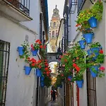 Precioso Loft El Arcángel Ii Junto A La Ribera * Córdova